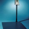 <p>Plataforma de pesaje instalada en sobre-suelo con indicador de peso digital más impresora</p>
