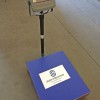 <p>Plataforma con visor alto de Servipesa</p>
