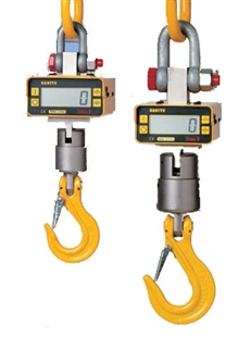 Logo de Pesaje en puente grúa